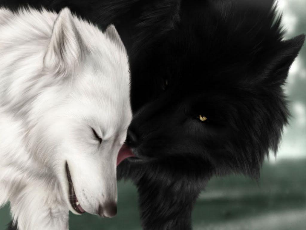 Love Wolf Couple Wallpapers