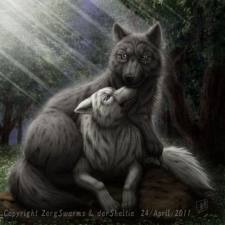 Love Wolf Couple Wallpapers