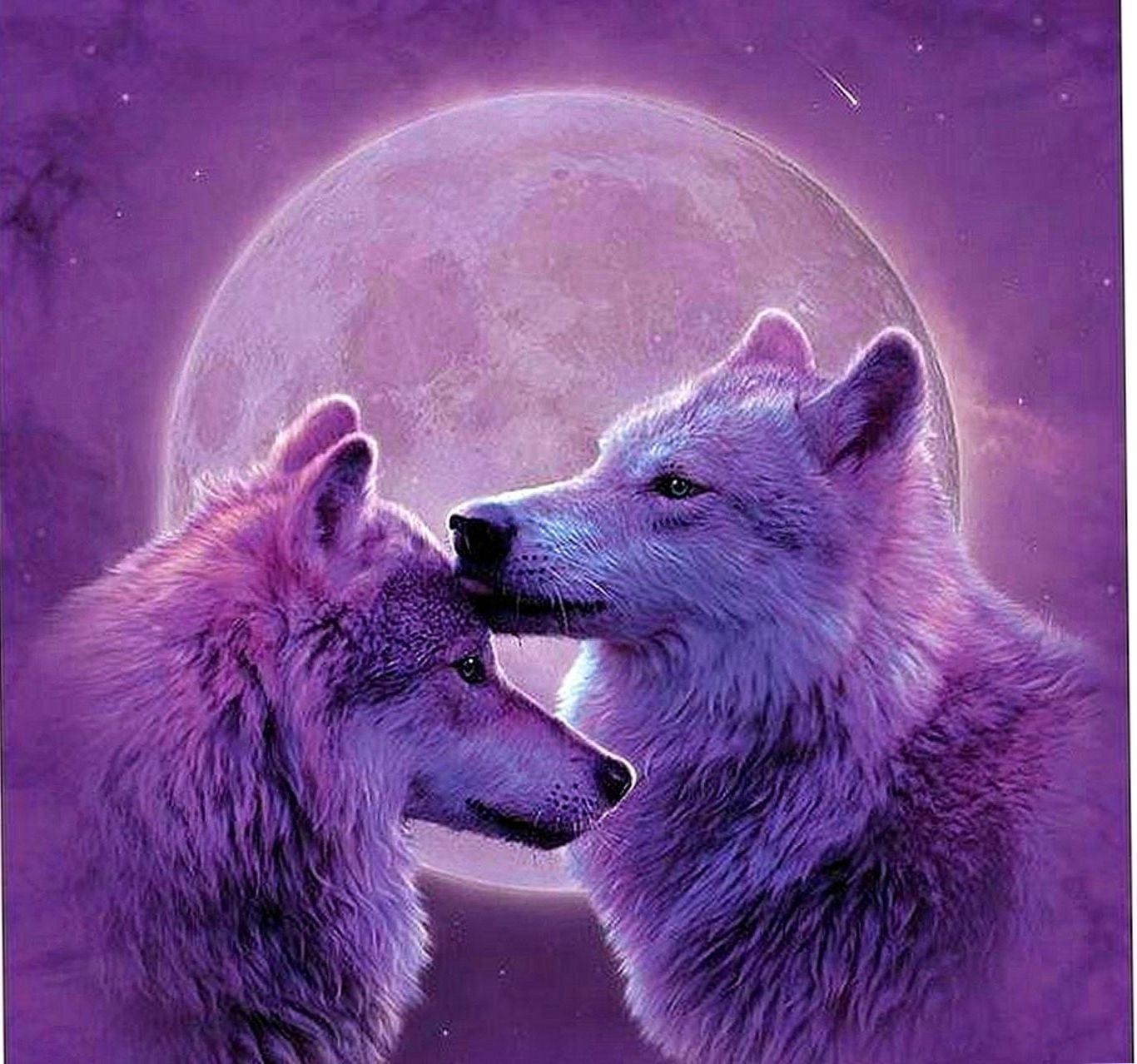 Love Wolf Couple Wallpapers