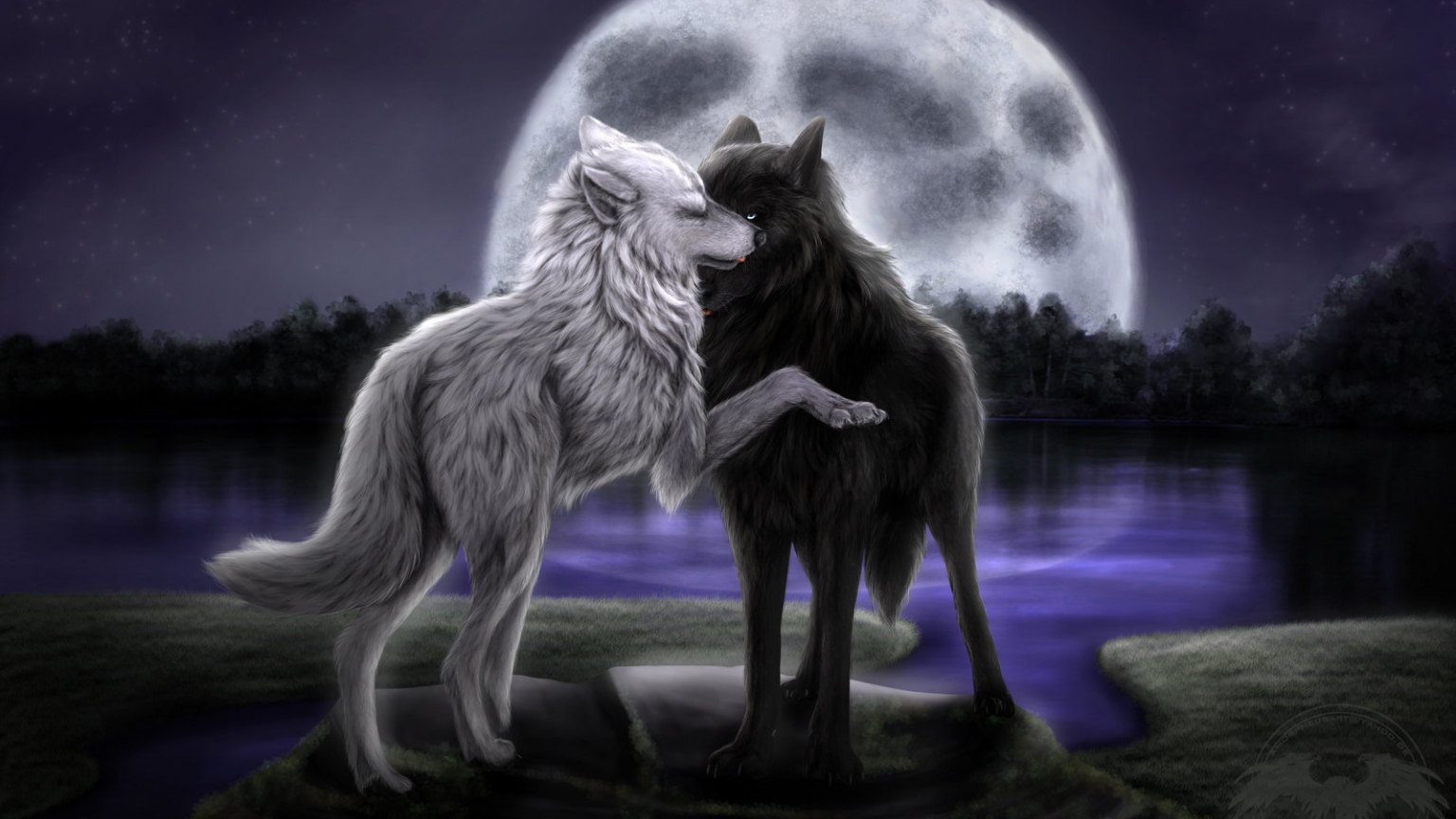 Love Wolf Couple Wallpapers