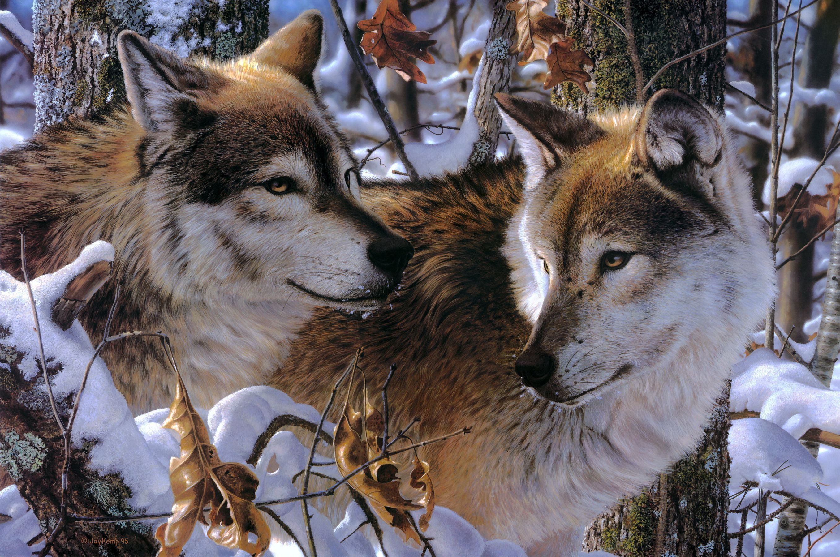 Love Wolf Couple Wallpapers