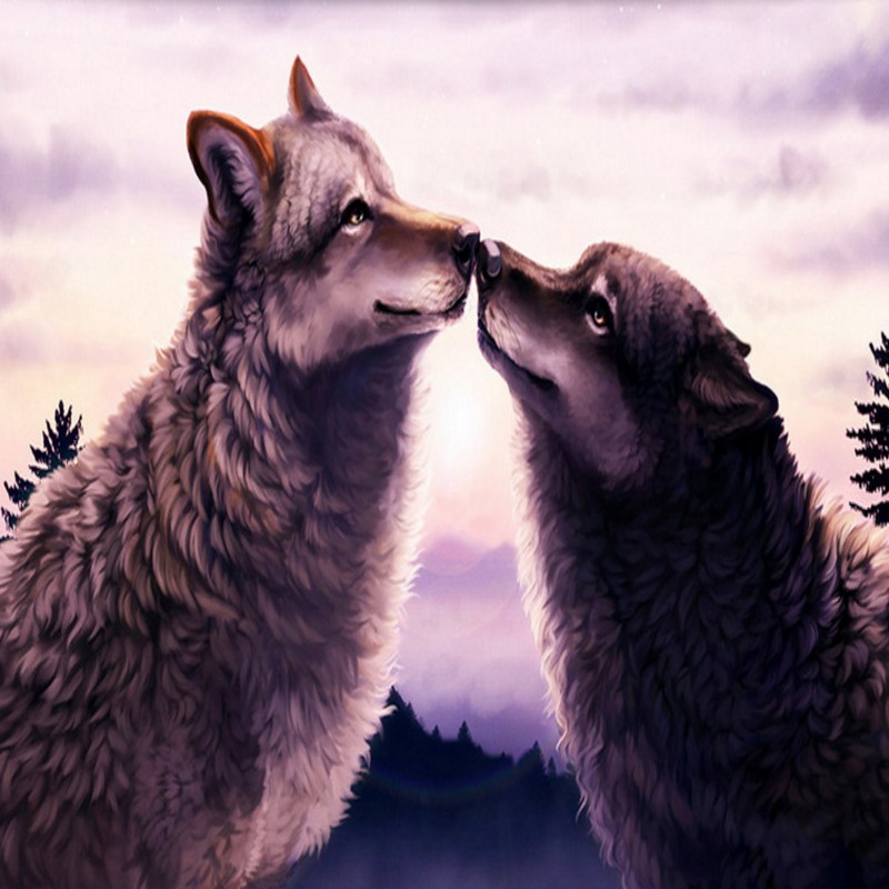 Love Wolf Couple Wallpapers