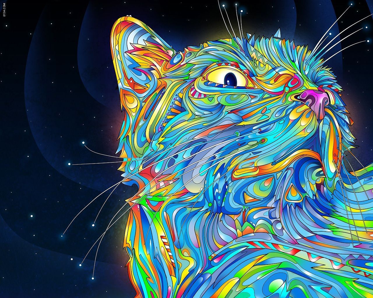 Lsd Cat Pic Wallpapers