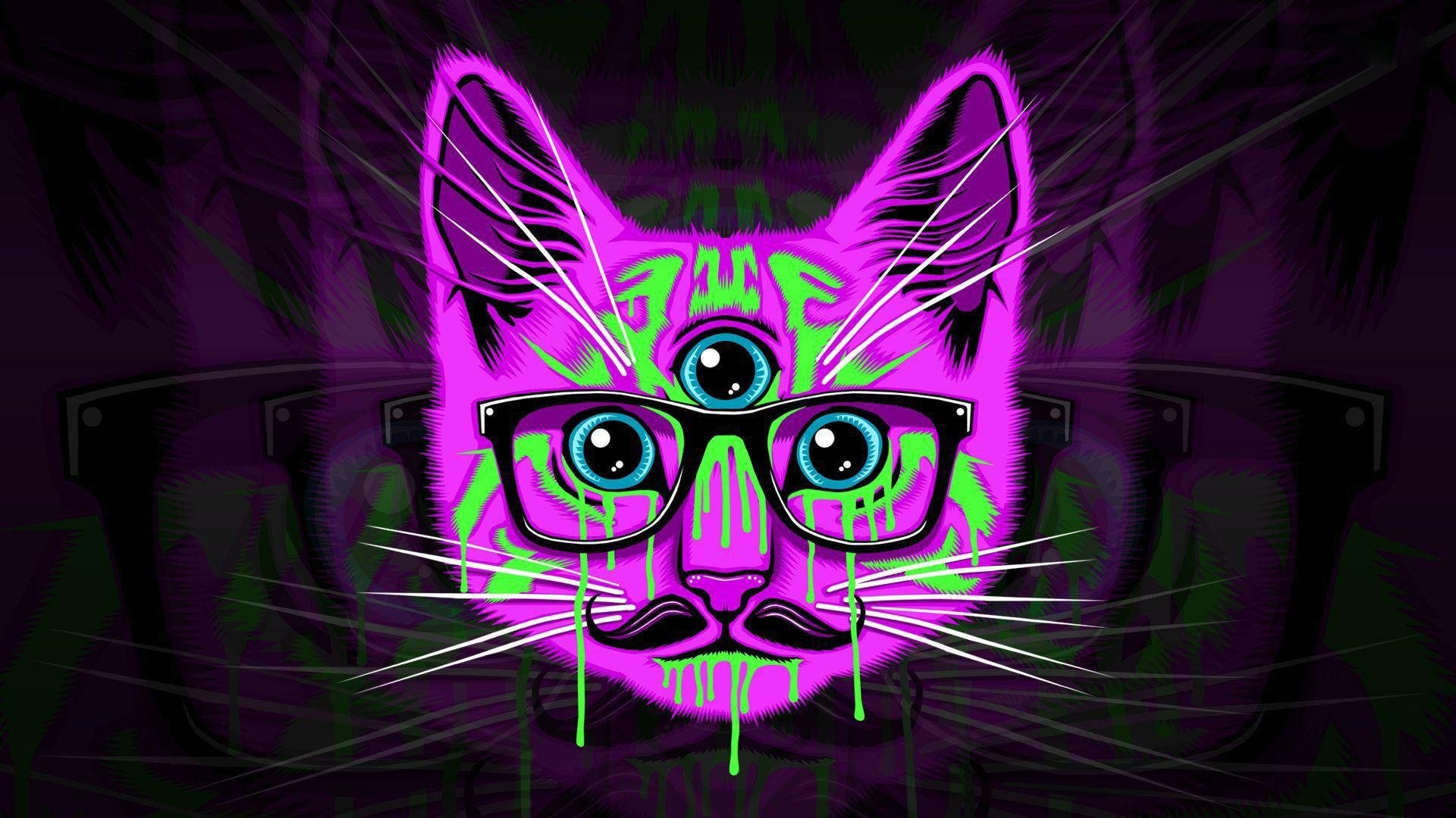 Lsd Cat Pic Wallpapers