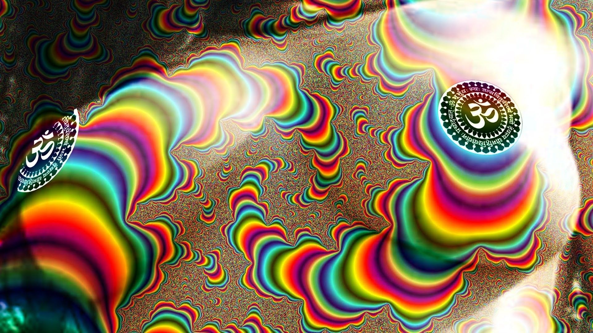 Lsd Cat Pic Wallpapers