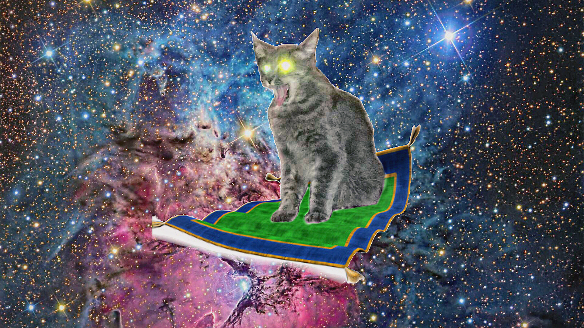 Lsd Cat Pic Wallpapers