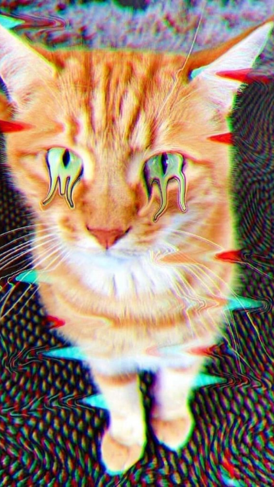 Lsd Cat Pic Wallpapers