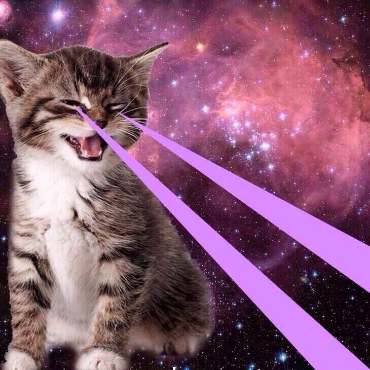 Lsd Cat Pic Wallpapers