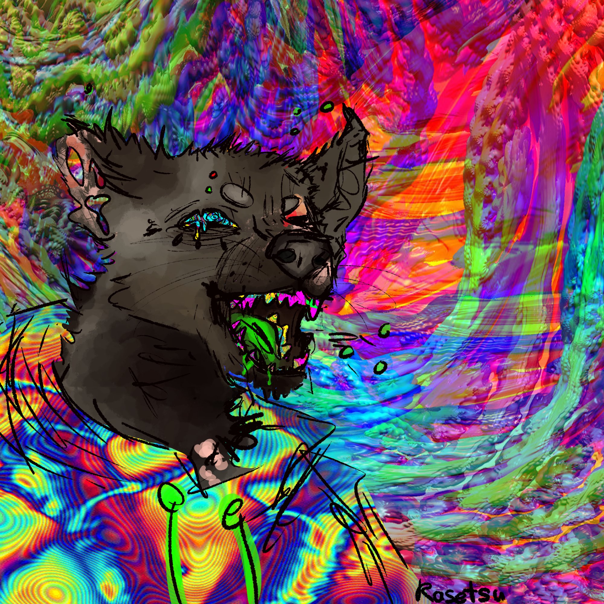 Lsd Cat Pic Wallpapers