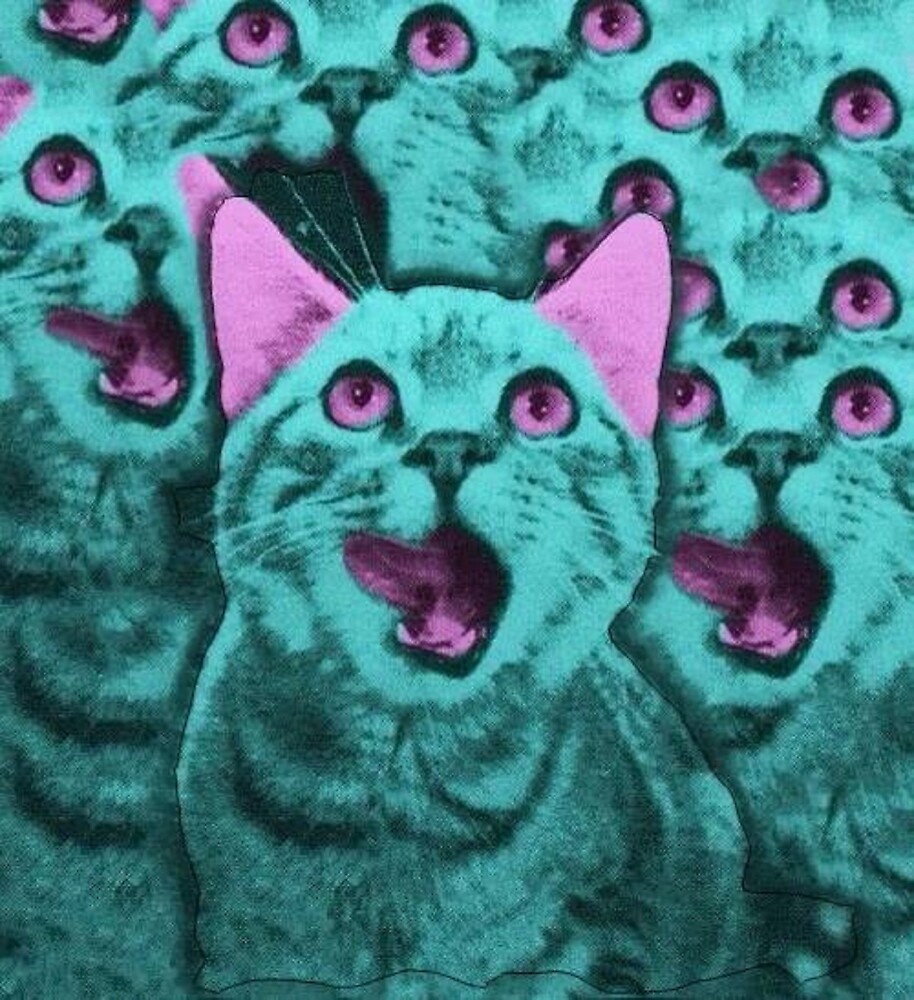 Lsd Cat Pic Wallpapers