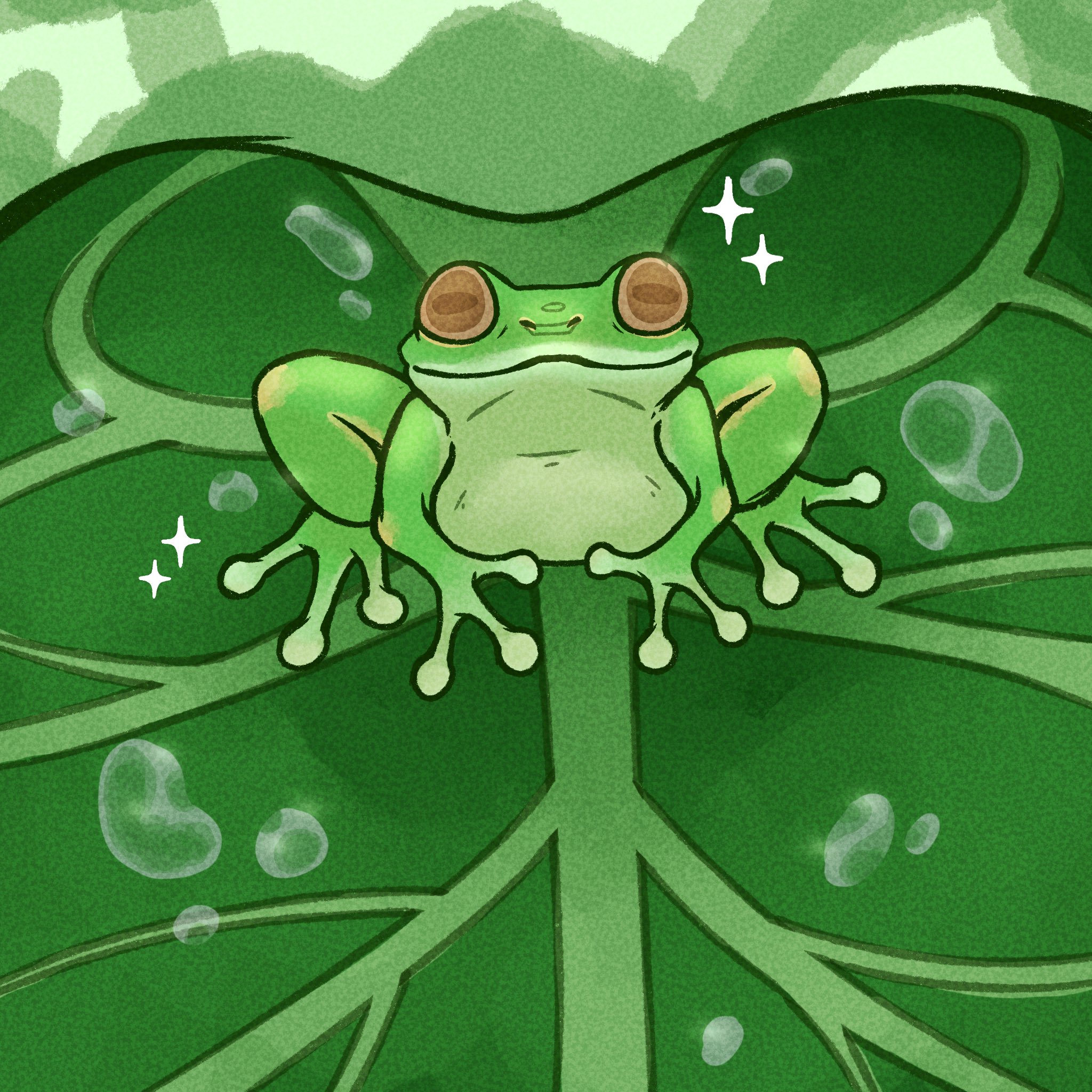 Lucio Frog Wallpapers