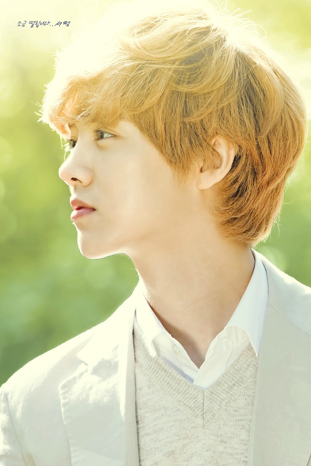 Luhan Wallpapers