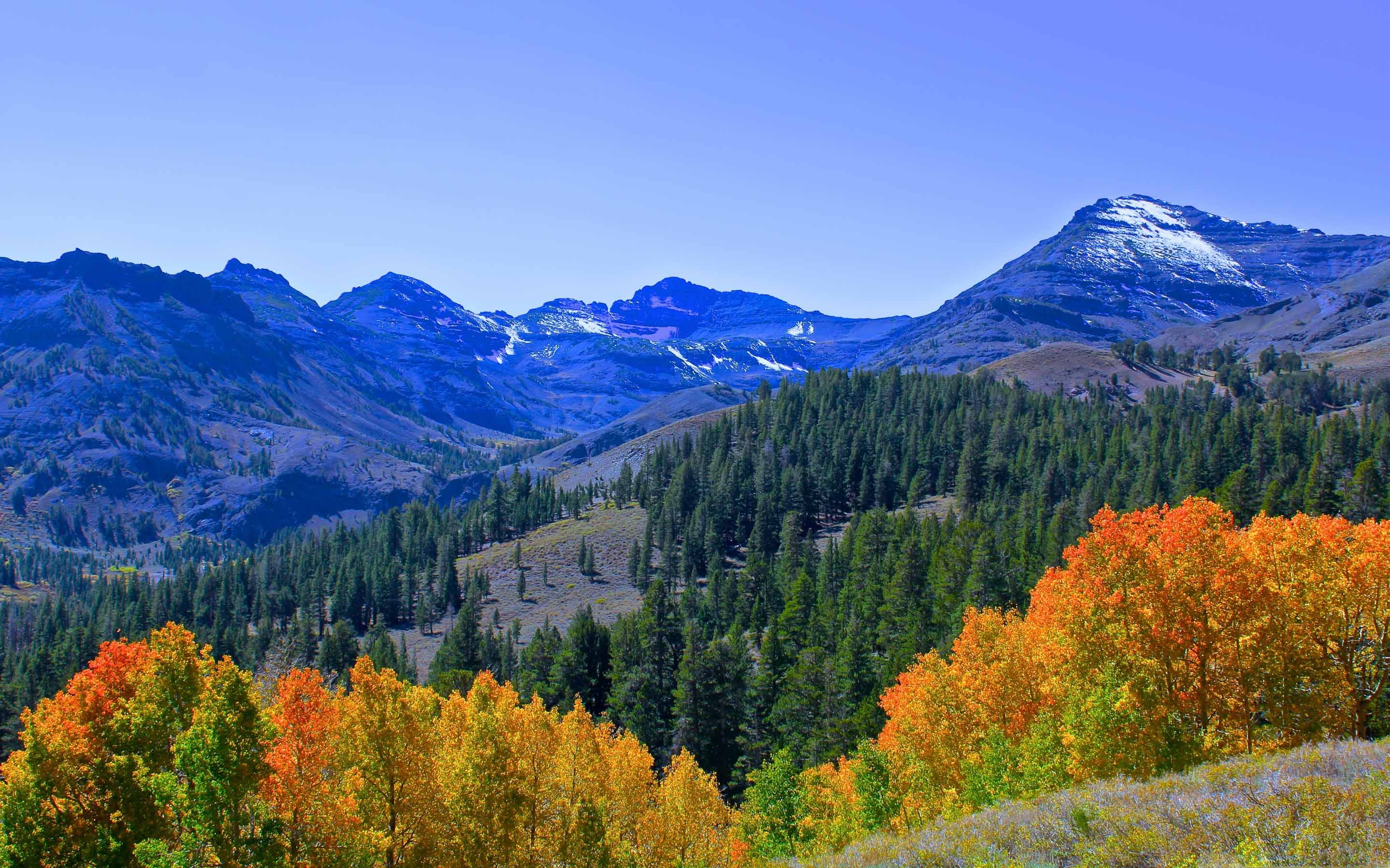 Macos High Sierra Wallpapers