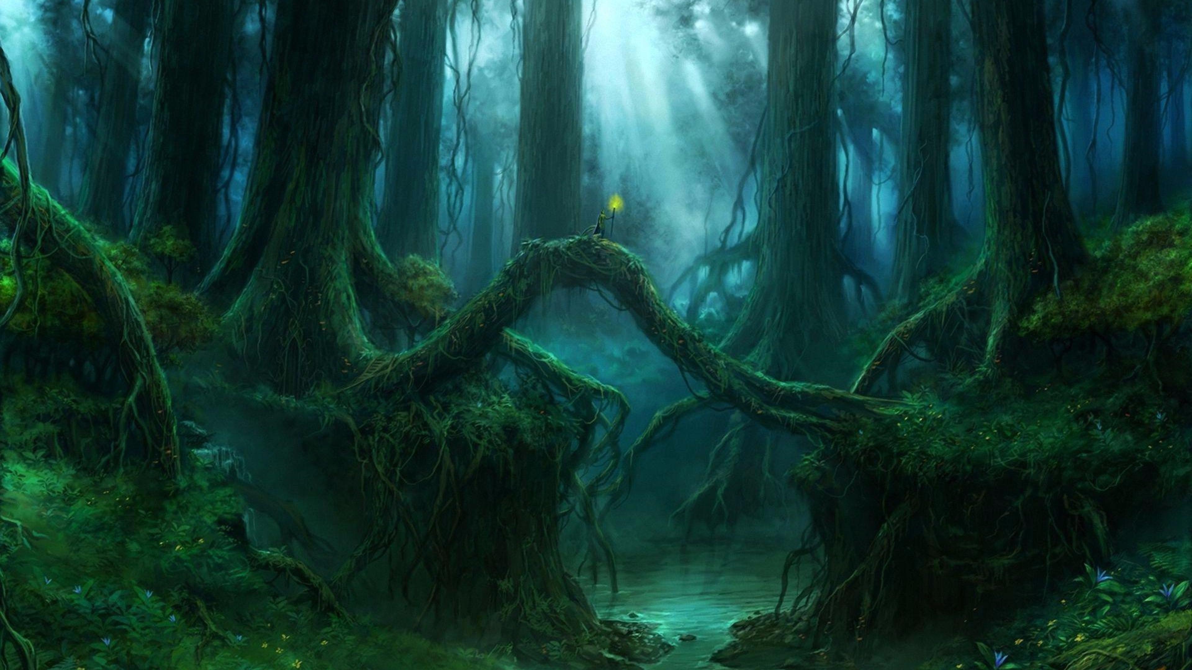 Magic Forest Wallpapers