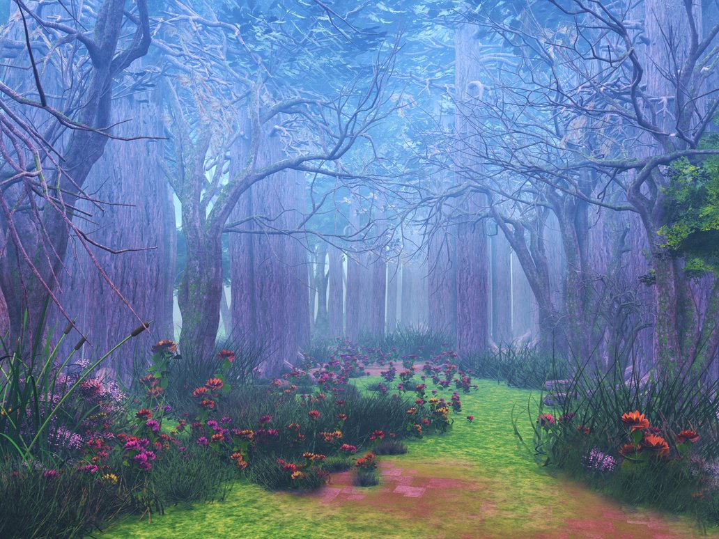 Magical Forest Wallpapers