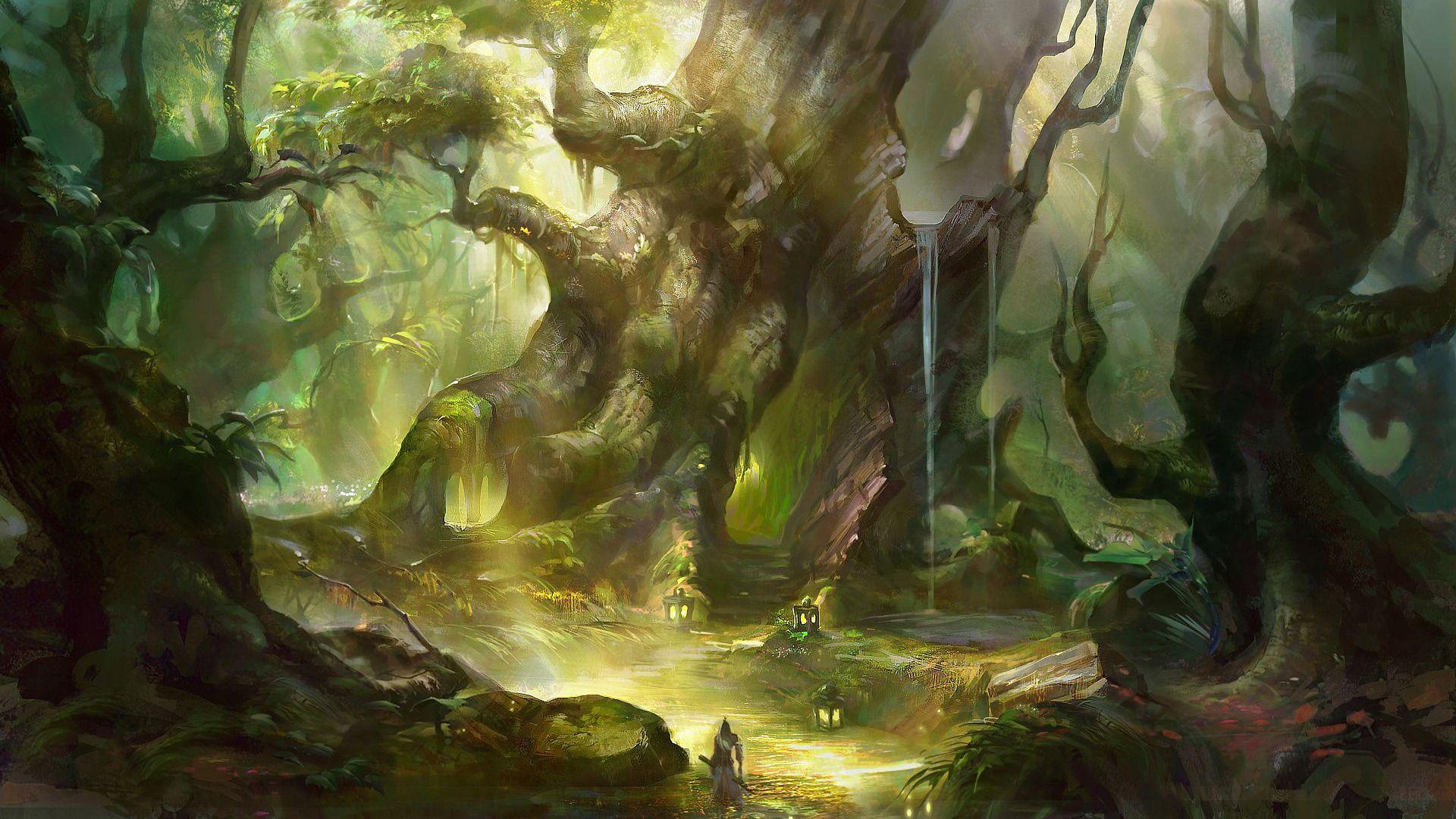 Magical Forest Wallpapers