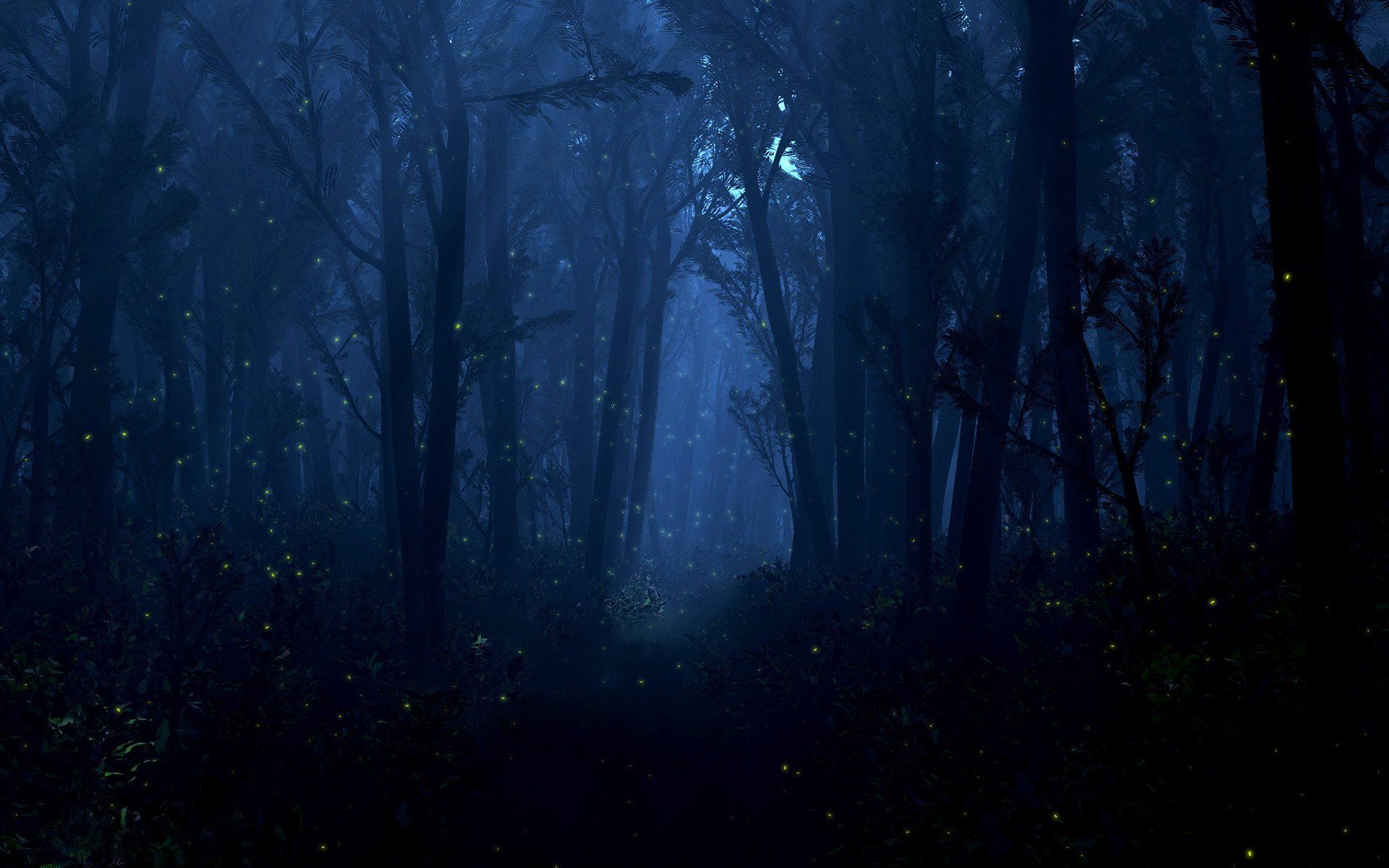 Magical Night Forest Wallpapers