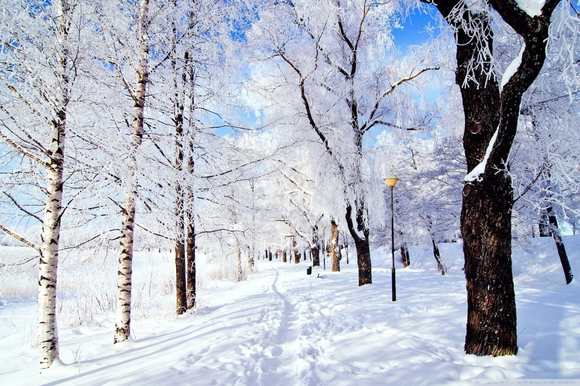 Magical Winter Wonderland Wallpapers