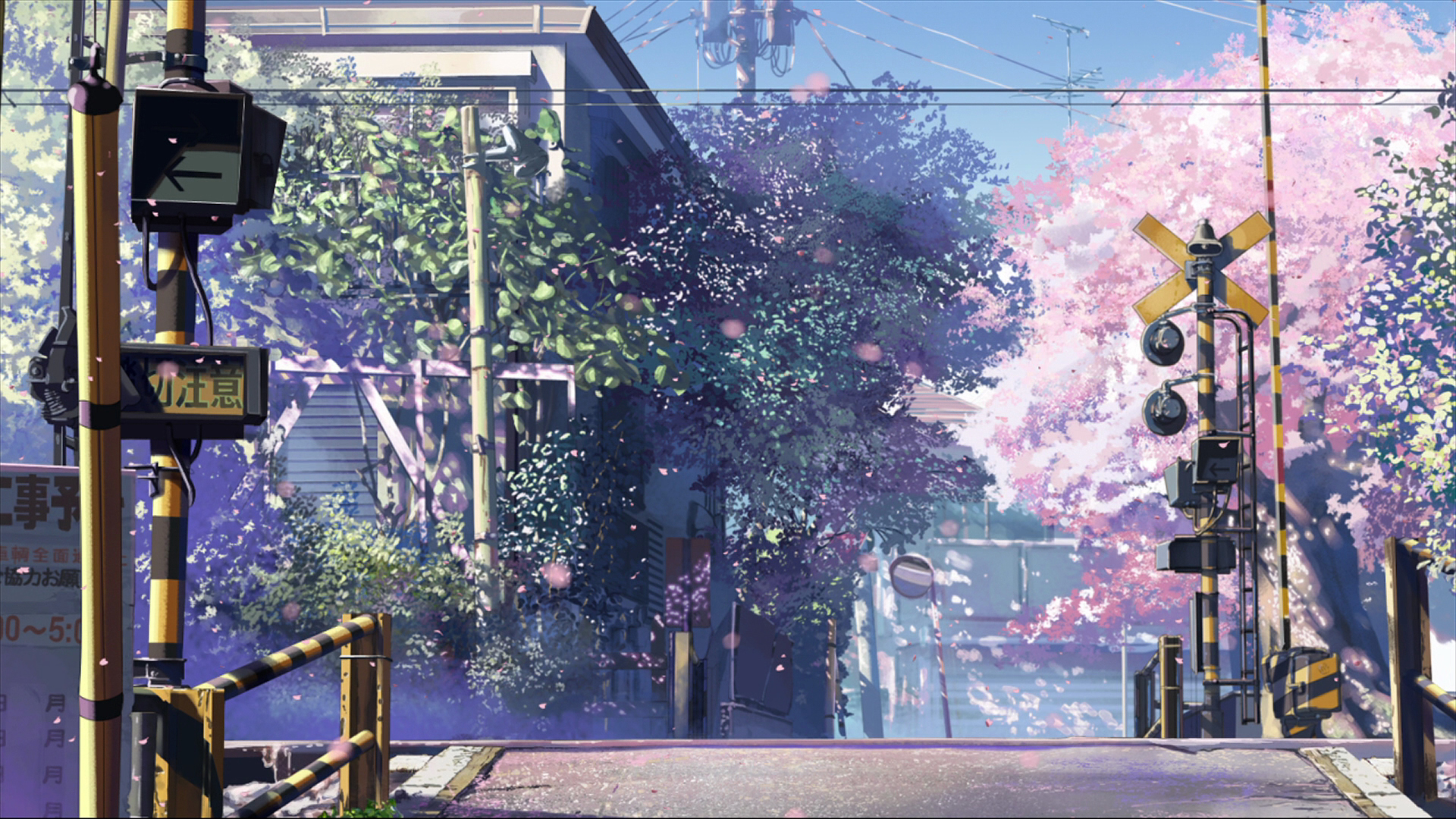 Makoto Shinkai Wallpapers