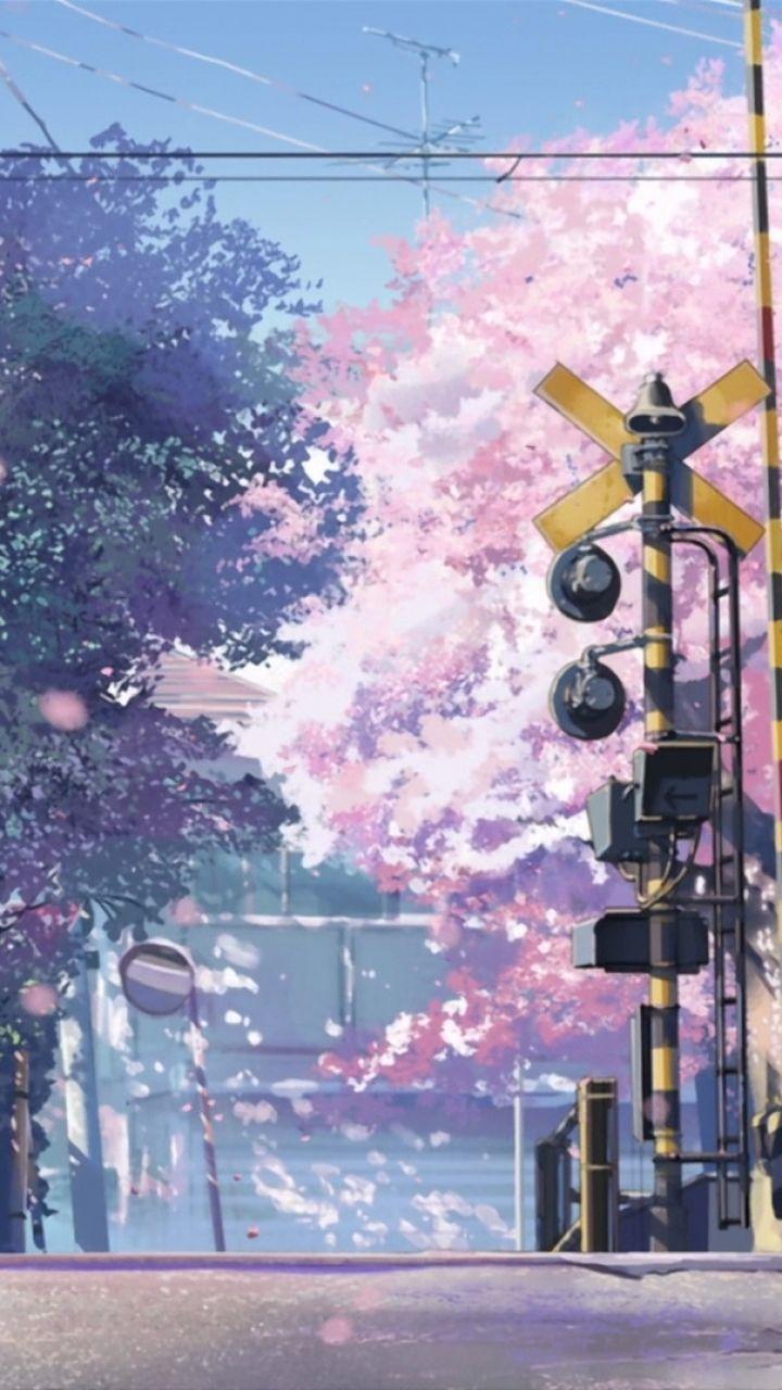 Makoto Shinkai Wallpapers