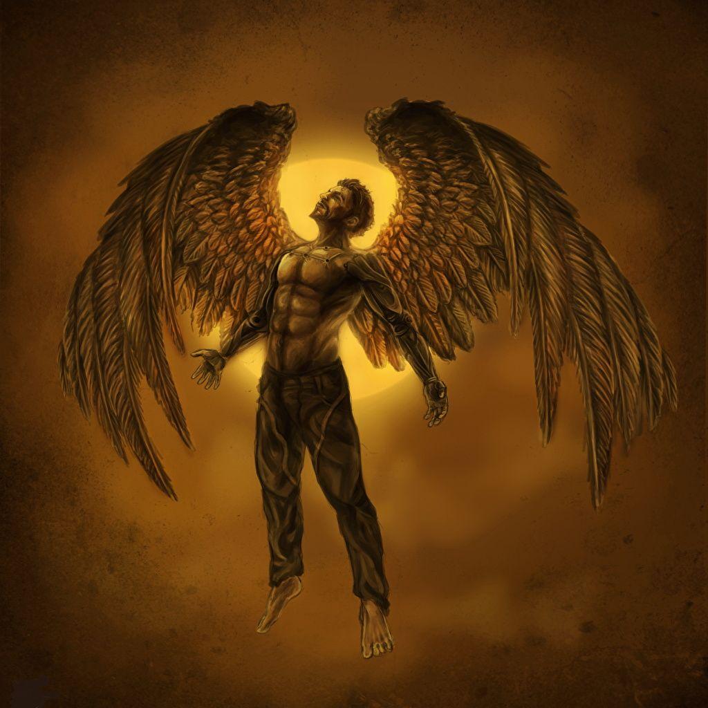 Male Angel Wallpapers