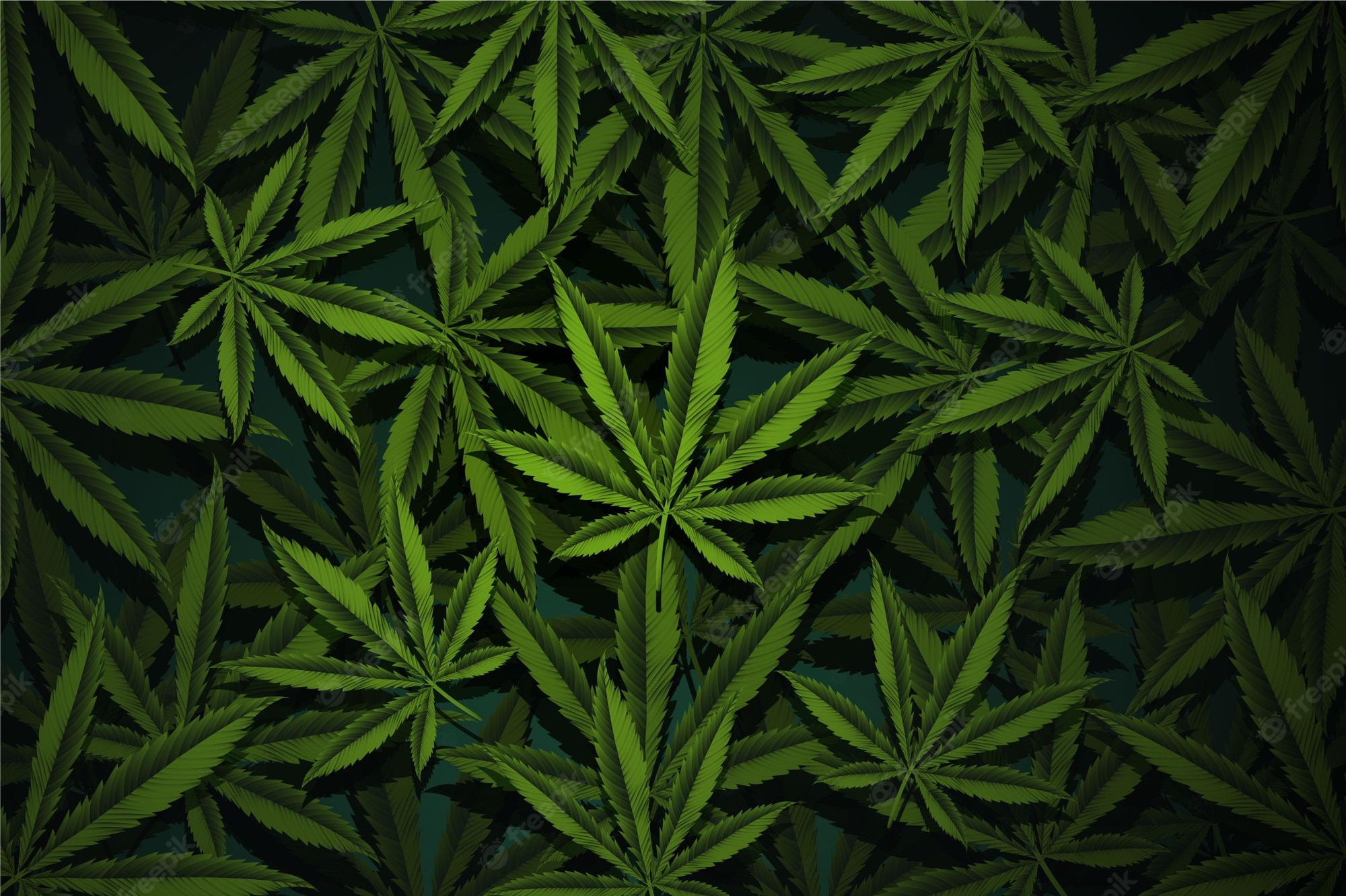 Marijuana Leaf Wallpapers