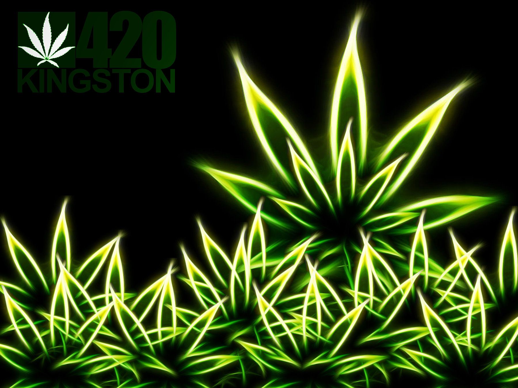 Marijuana Leaf Wallpapers