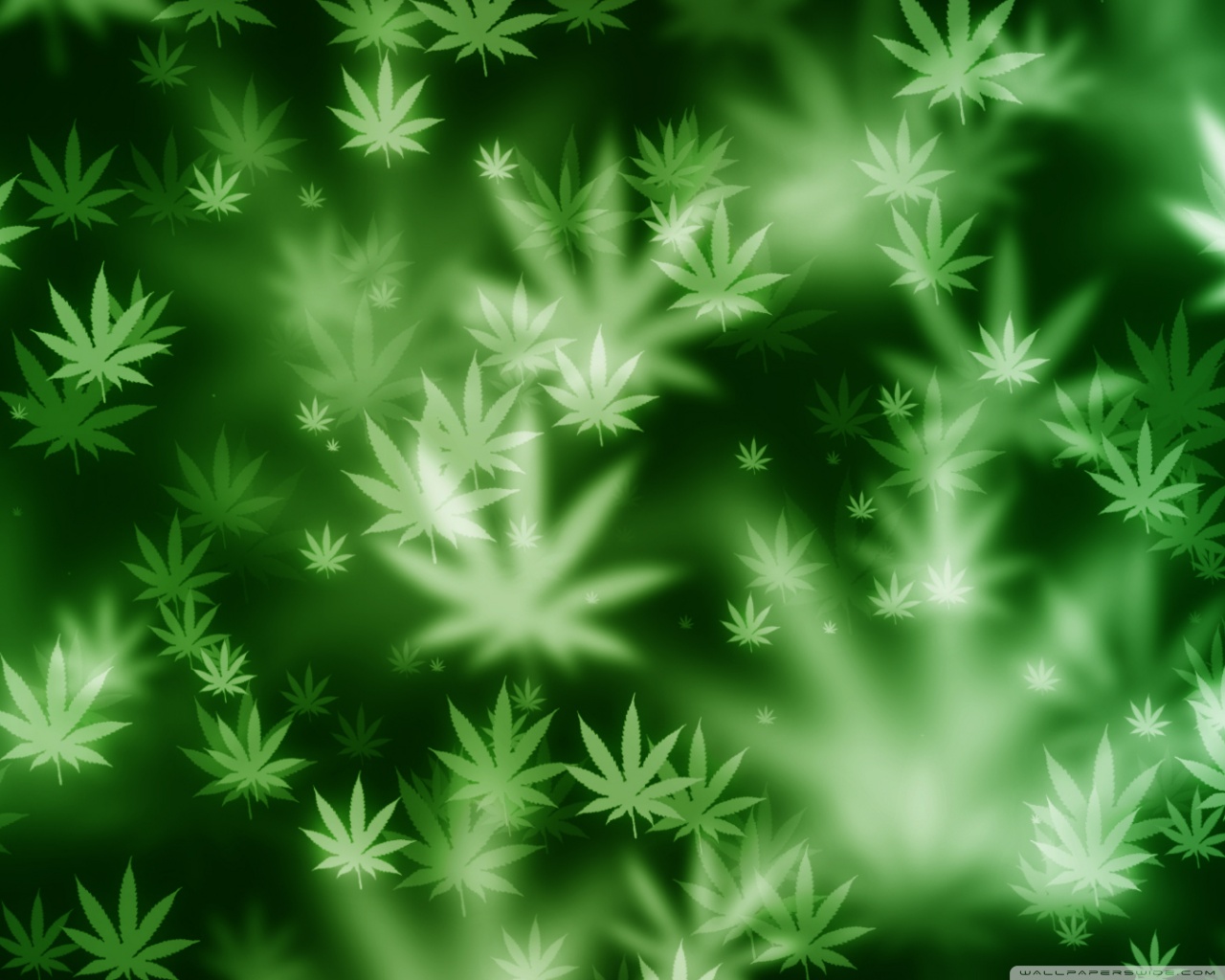 Marijuana Screensavers Wallpapers