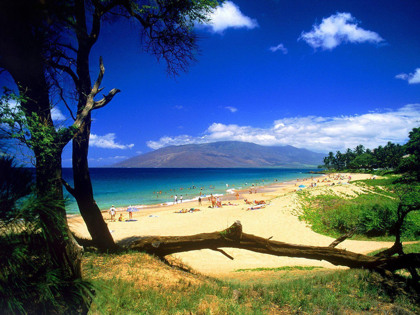 Maui Beach Wallpapers