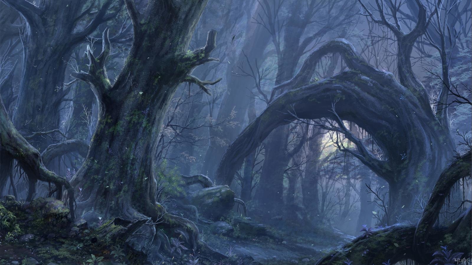 Medieval Forest Wallpapers