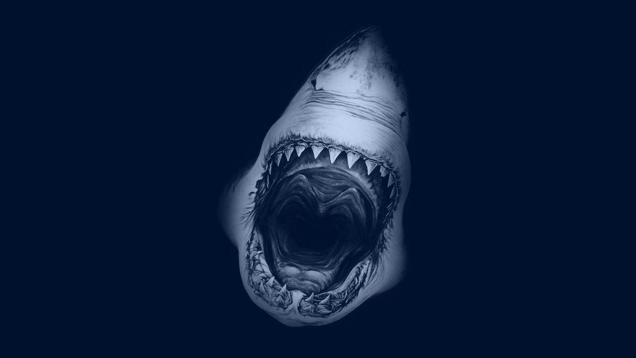 Megalodon Wallpapers