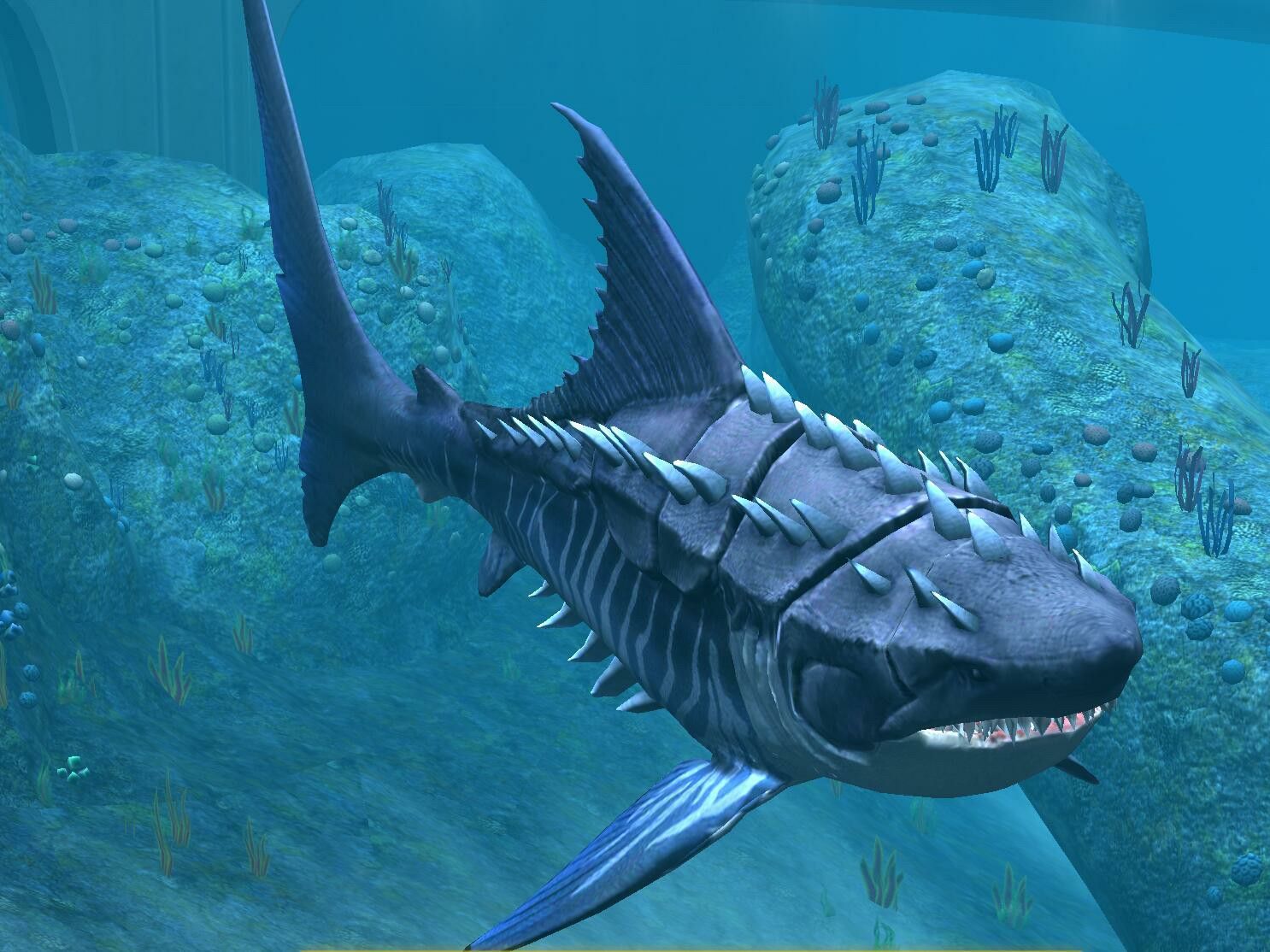 Megalodon Wallpapers