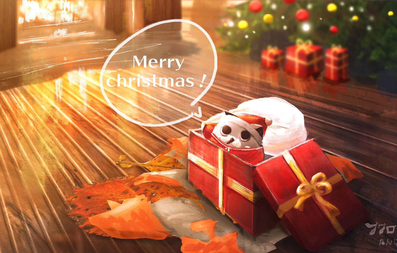 Merry Christmas Owl Images Wallpapers