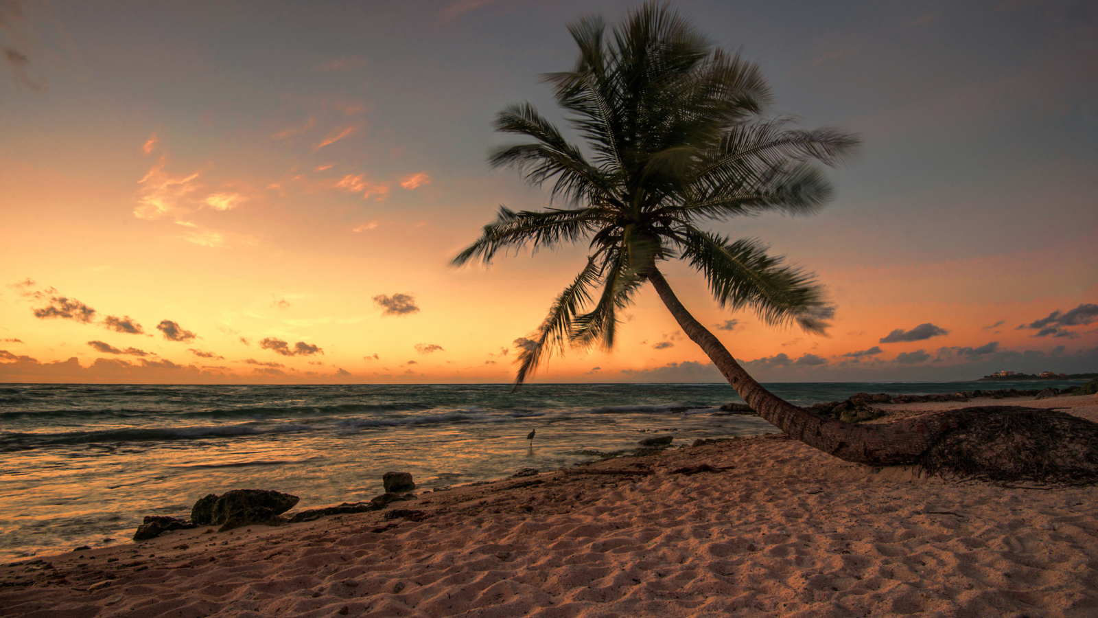 Mexico Beach Sunset Wallpapers