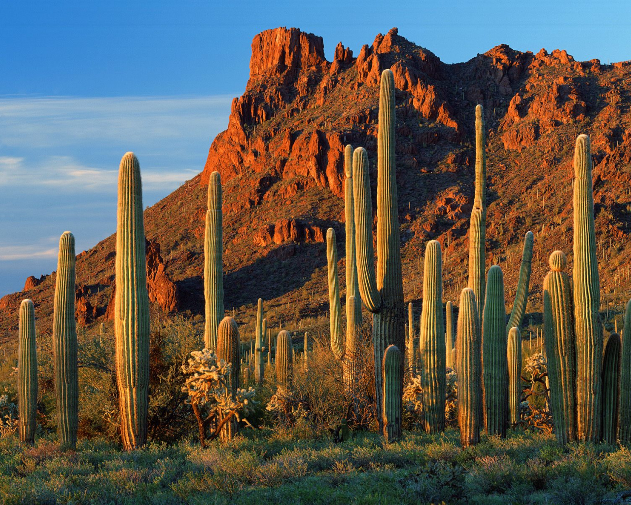 Mexico Landscape Wallpapers