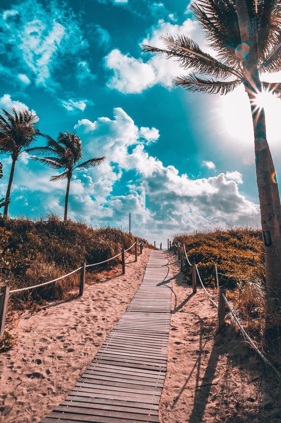 Miami Beach Scene Wallpapers