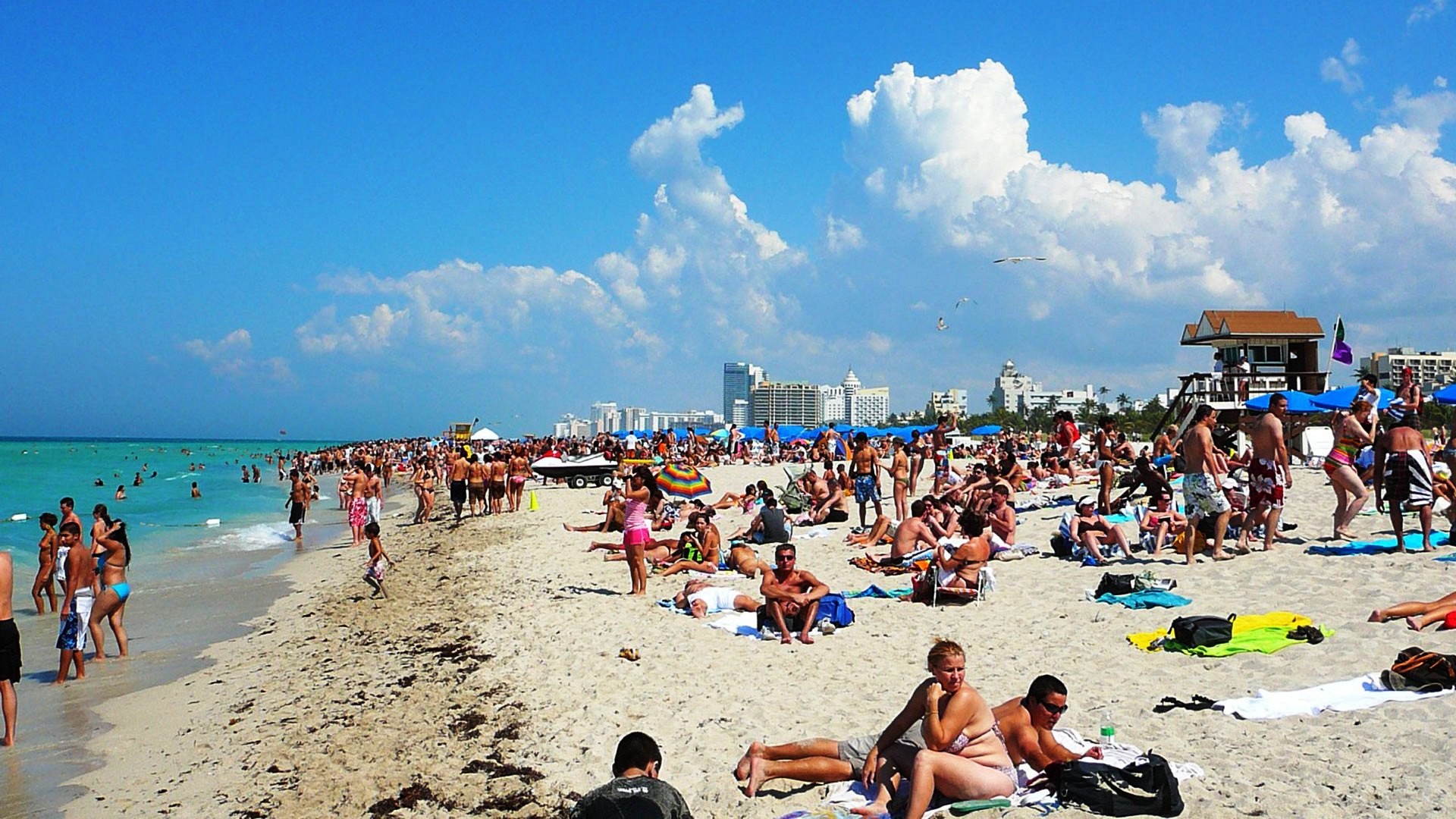 Miami Beach Scene Wallpapers