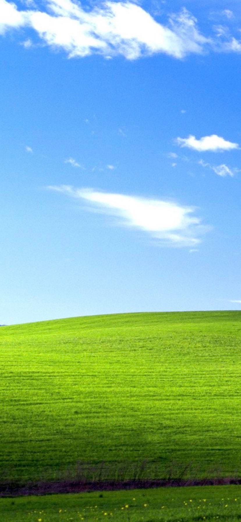 Microsoft Old Wallpapers