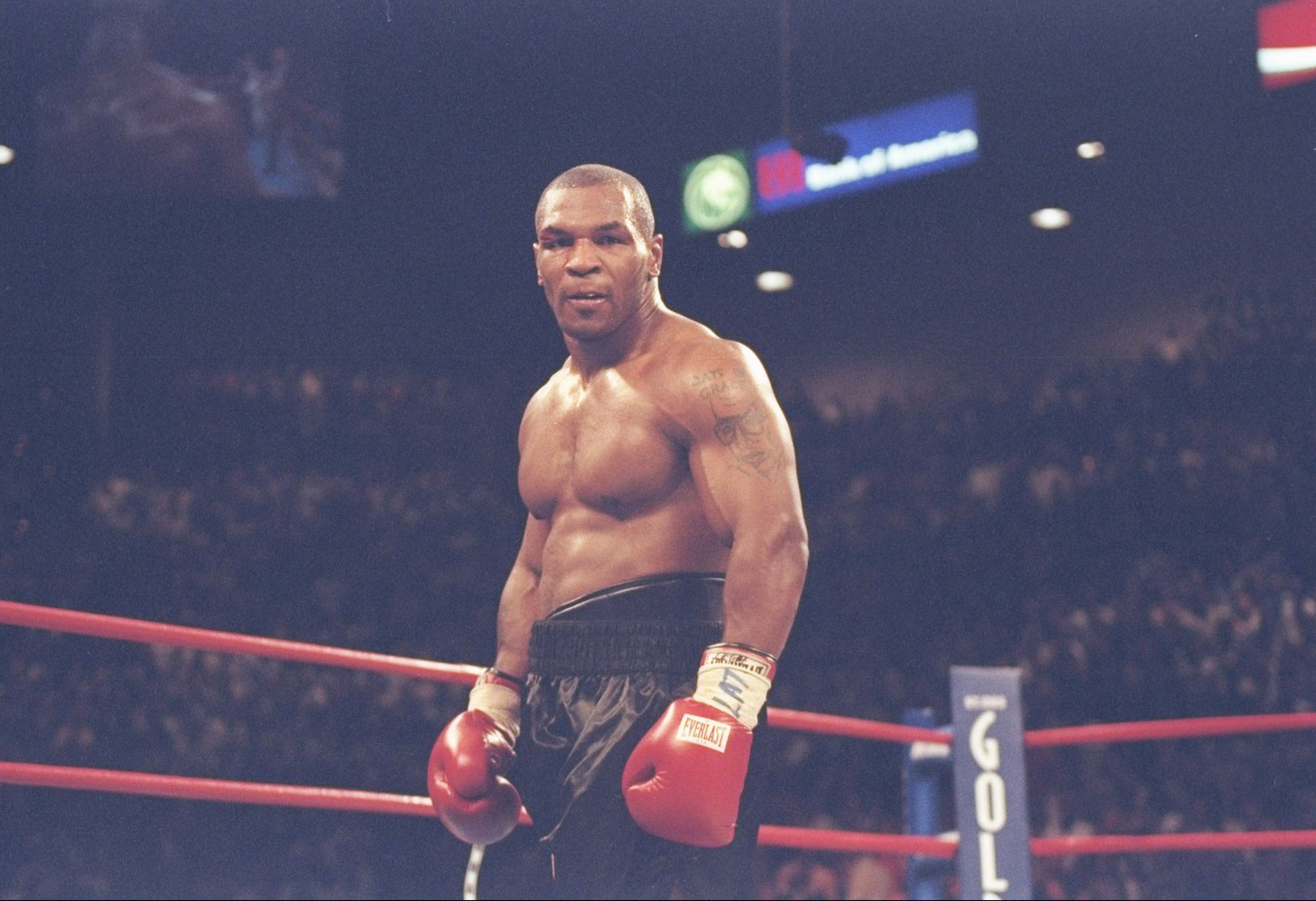 Mike Tyson Quotes Wallpapers