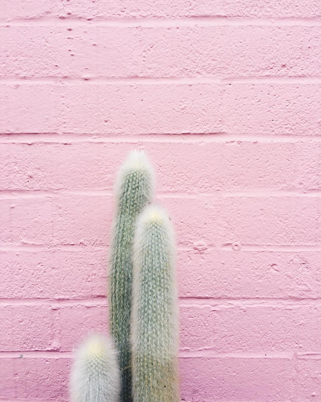 Millennial Pink Wallpapers