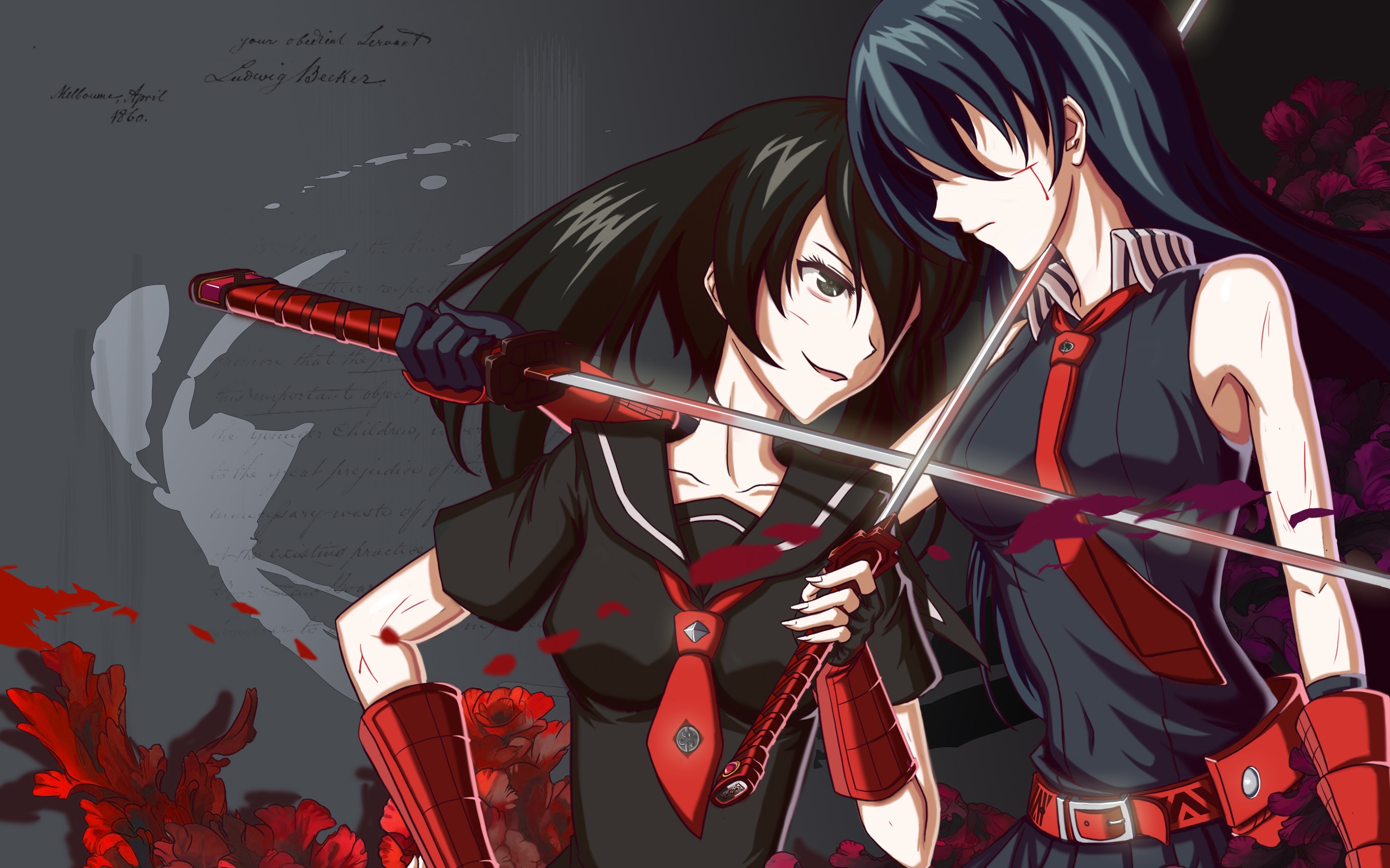 Mine Akame Ga Kill Wallpapers