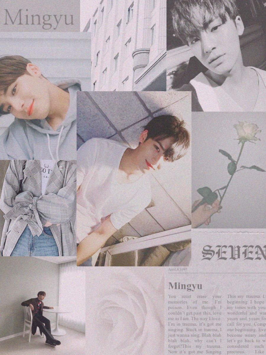 Mingyu Aesthetic Wallpapers