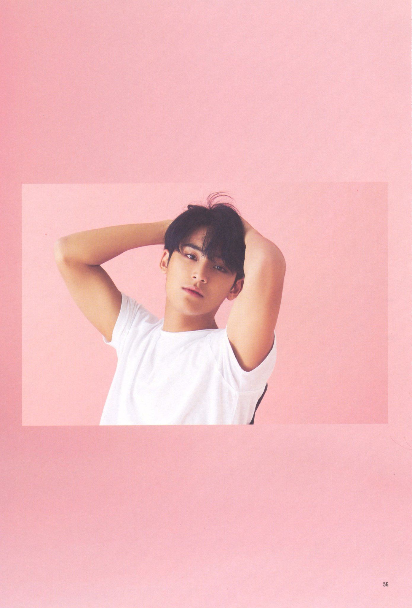 Mingyu Aesthetic Wallpapers