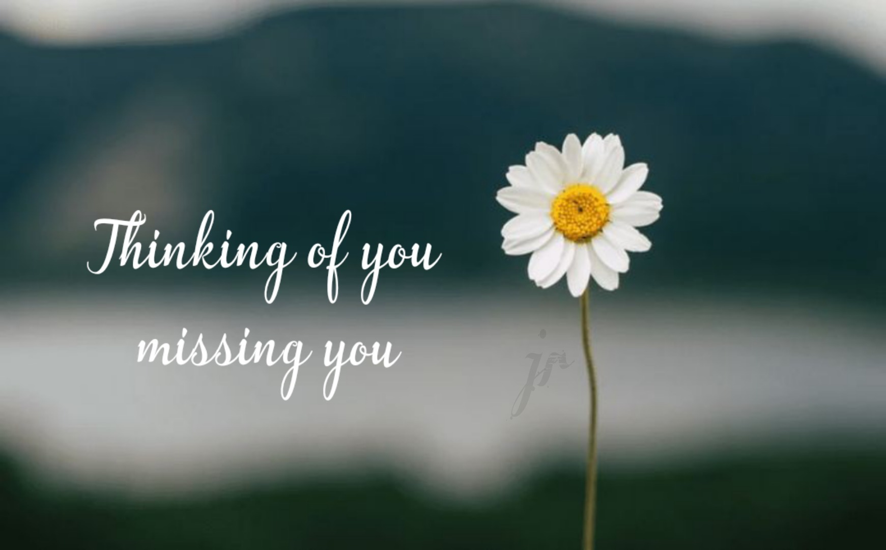 Missing You Wallpapers