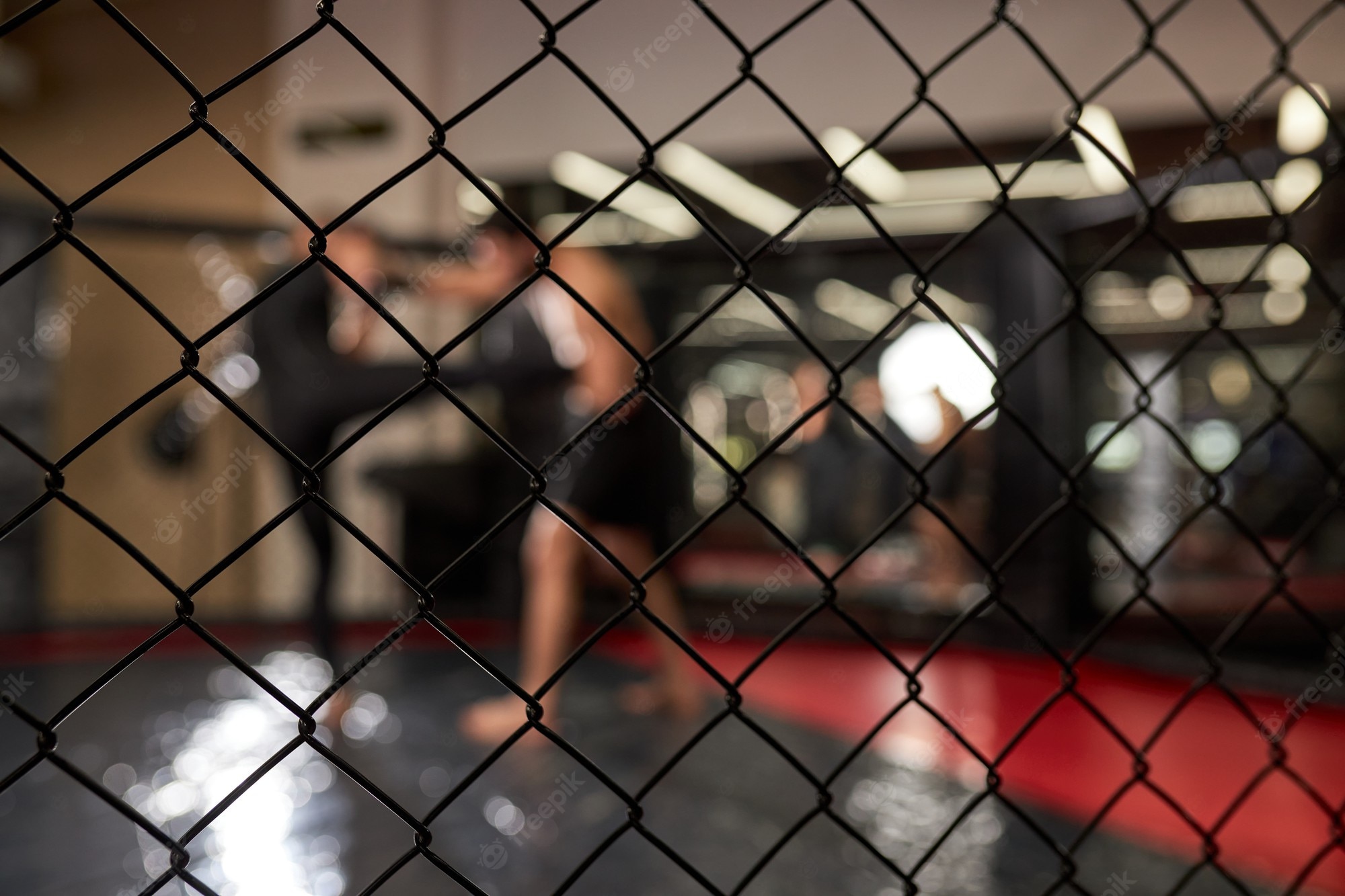 Mma Cage Wallpapers