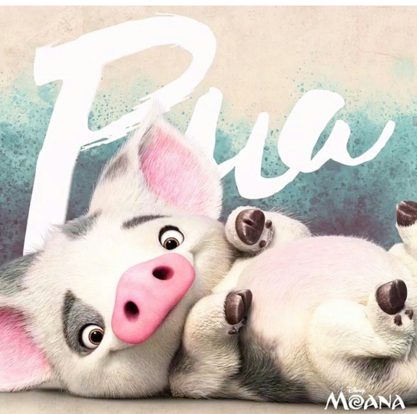 Moana Pig Wallpapers