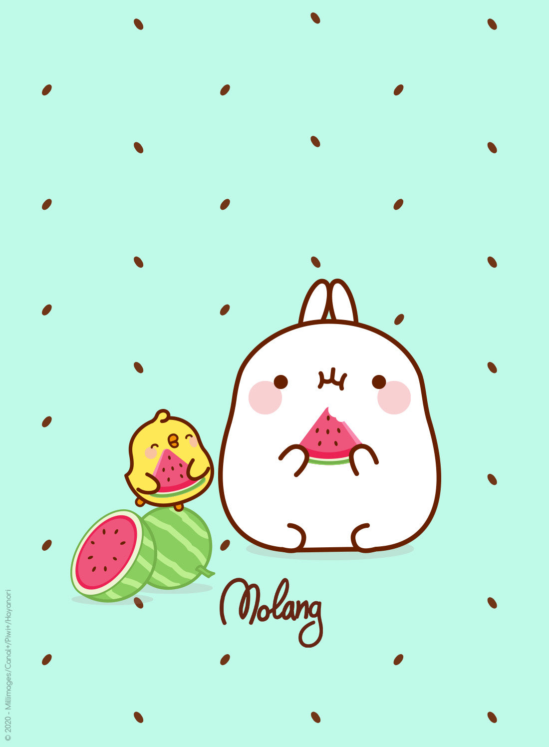 Molang Wallpapers