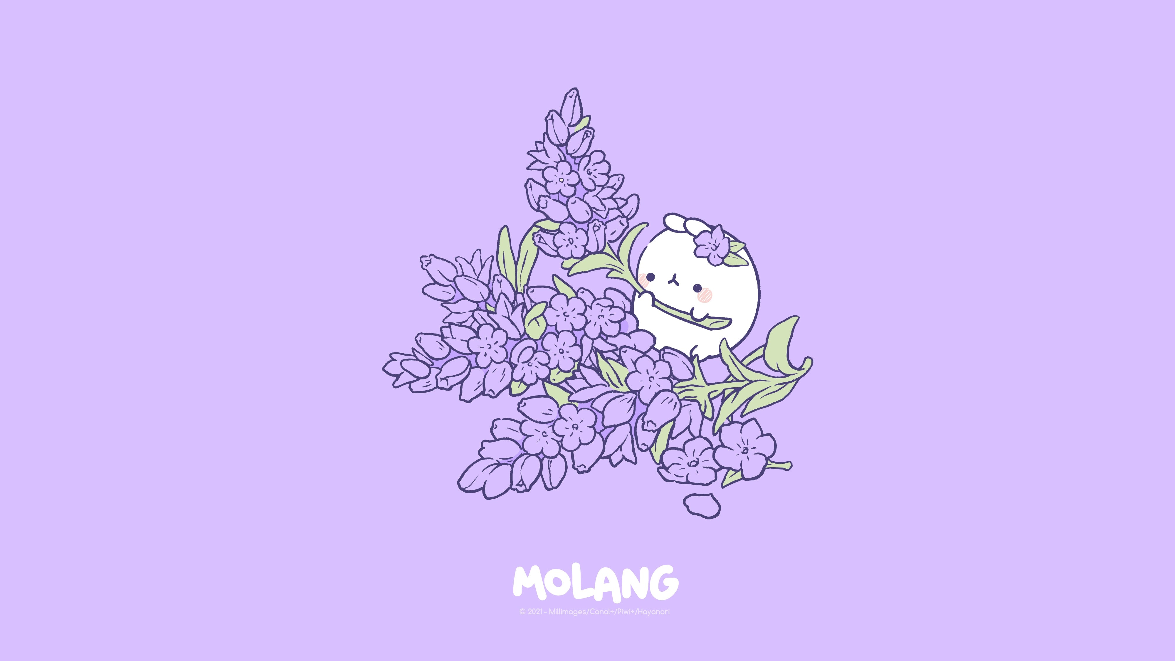 Molang Wallpapers