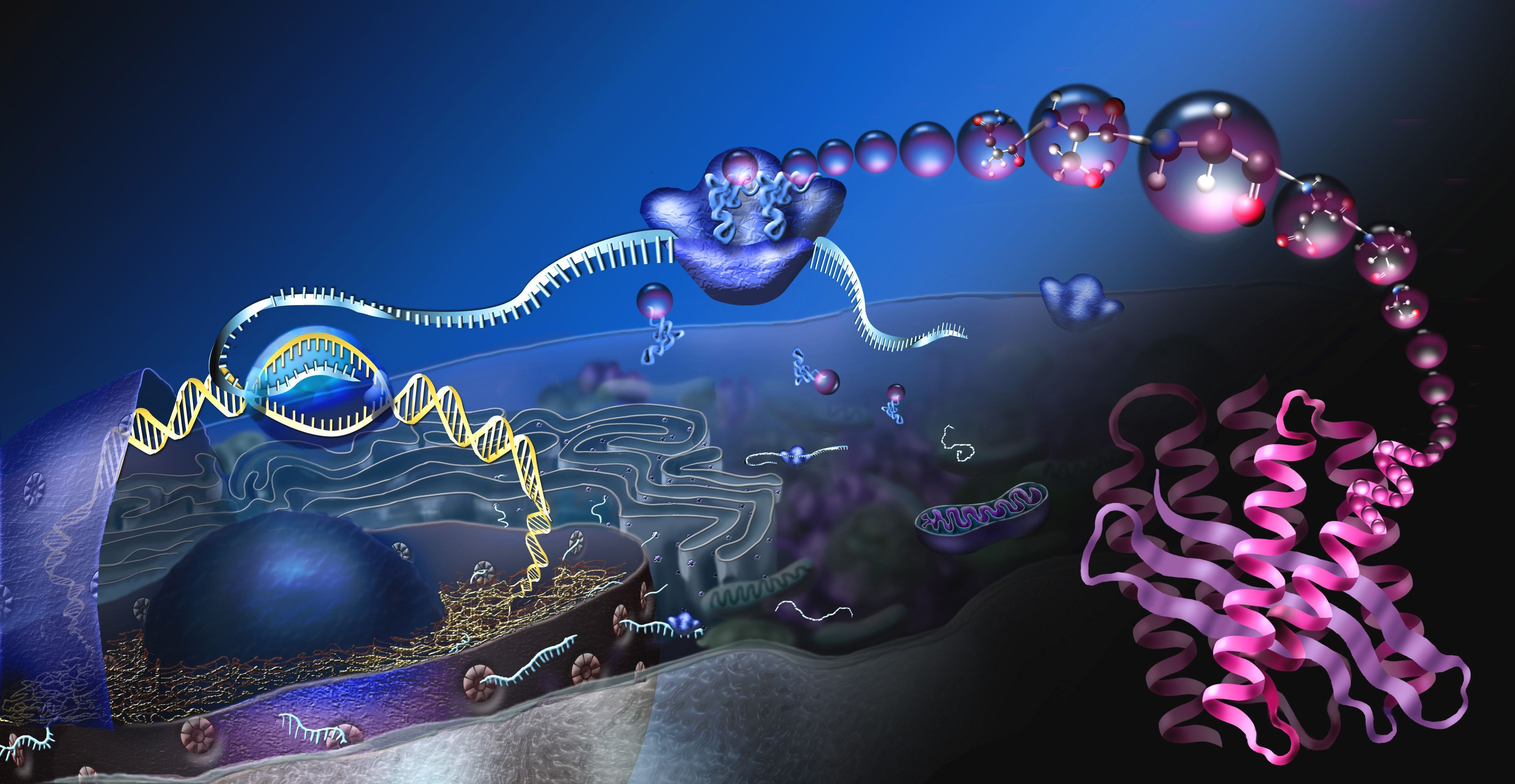 Molecular Biology Wallpapers