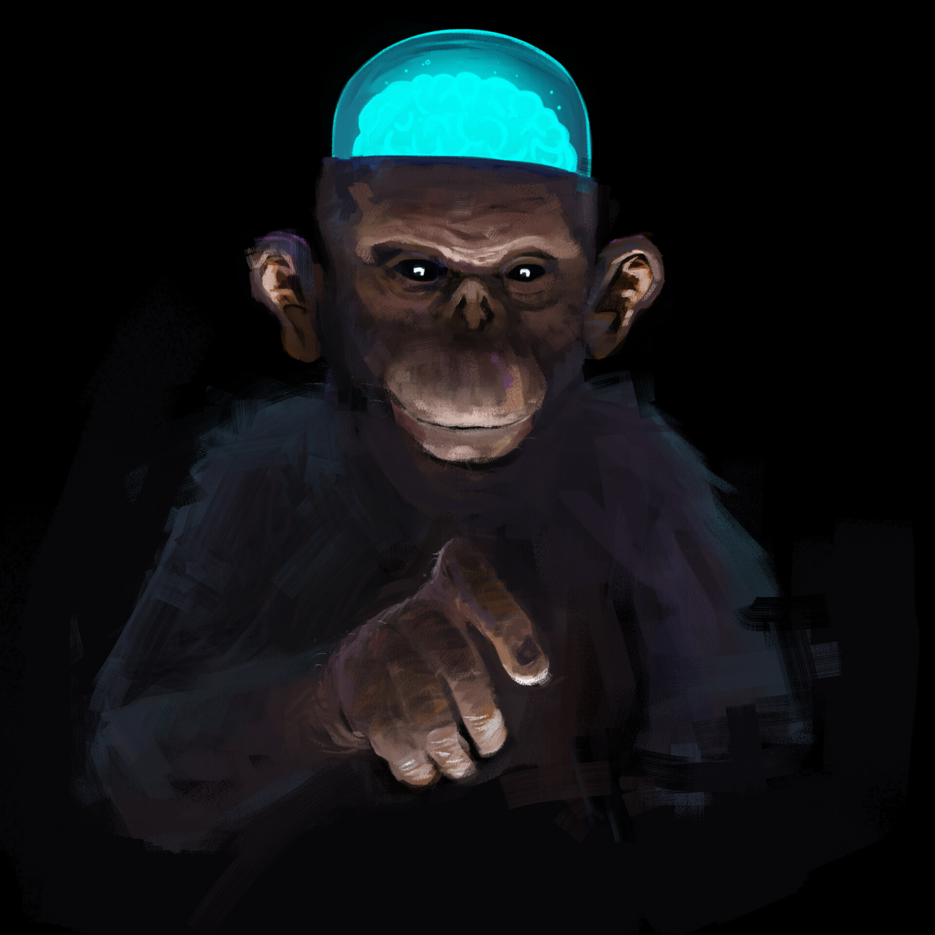 Monkey Swag Wallpapers